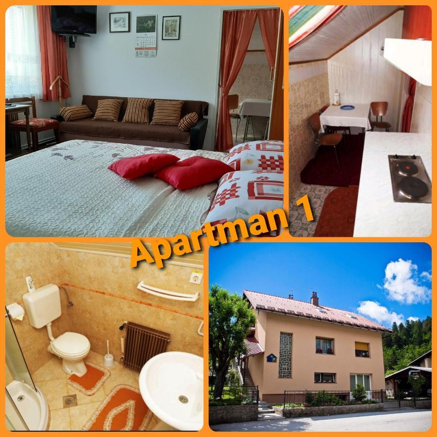 Apartments Gale Delnice Extérieur photo