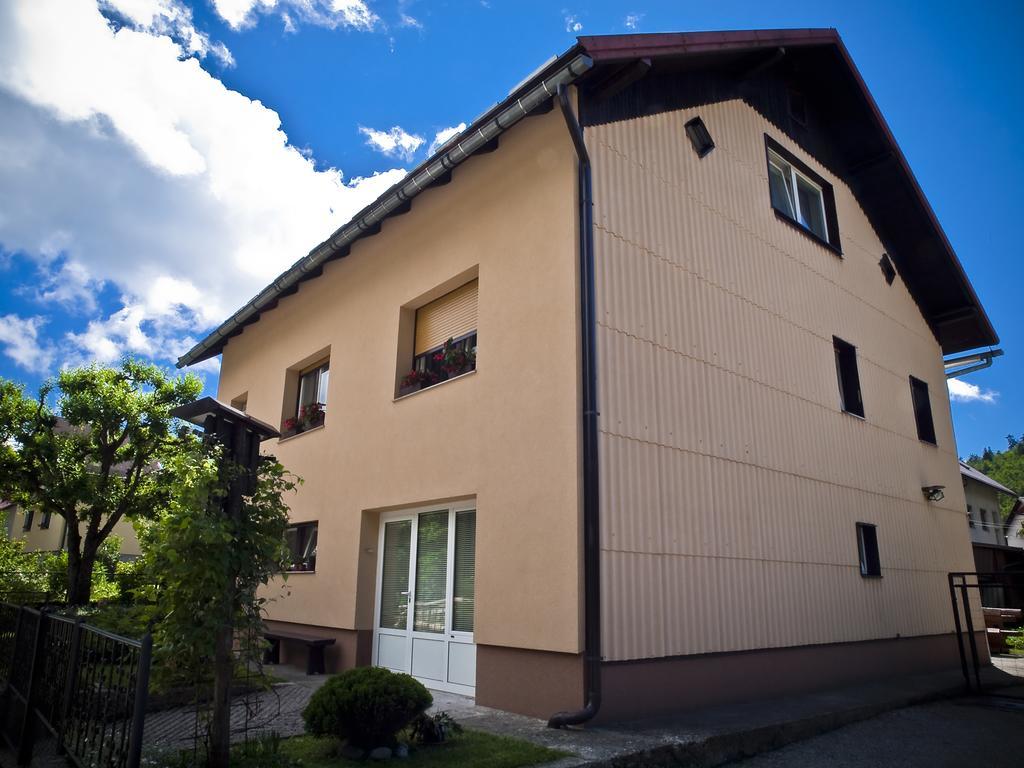 Apartments Gale Delnice Extérieur photo